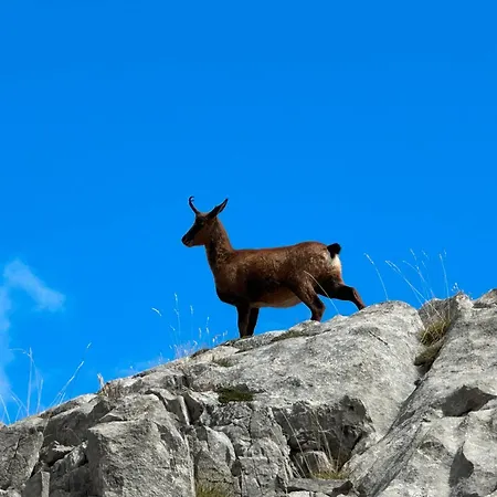 El Serenal Casa di campagna