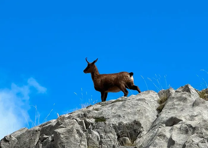 El Serenal Country house