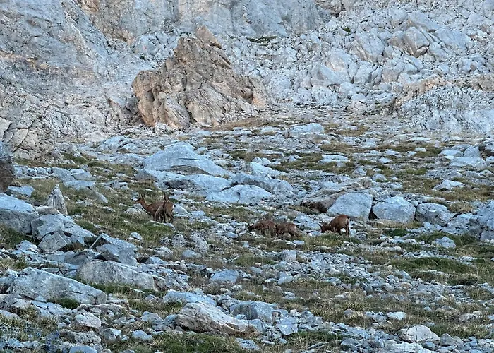 Country house El Serenal